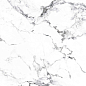 CR4006-A Borghini Silver Carving 60x60 Arcadia Ceramica