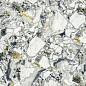 610015000703 F.d.M.Quark Ceppo Apuano Forest Lapp Rett 80x80 Atlas Concorde Russia