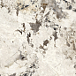 N20637 Patagonia Polished 80x160 Neodom