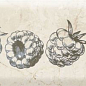 Decor Fruit Mistral Raspberry 10x30 Monopole Ceramica