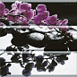 Aure Composicion Wellness Purple 45x45 Absolut Keramika
