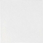 25403 Agora Relief White 25х25 Serapool