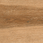 AB 1163W Wildwood Ocher 1200x200 Absolut Gres