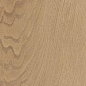 CSAGRWWA18 Gracewood Walnut 30180 Nat Rect 30x180 Sant Agostino