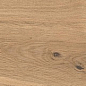 AX3L Log Icon Oak Forest Matte 18,5x150 Atlas Concorde