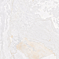 Planet White Metal Shine 60x120 Fanal