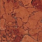 1BMV Marfil Bottone Marmo Verona 4.8x4.8 Atlas Concorde
