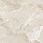 D60262M Wild Gold матовый 600x600x9.5 New Trend