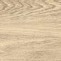 GP1560TAN01 Tanzania Crema матовый 151x602 New Trend