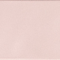 PT02845 OCEAN PETAL PINK MATT PB 7,5x30 Ribesalbes