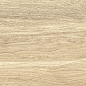 GP1560TAN01 Tanzania Crema матовый 151x602 New Trend