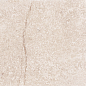 G302PR Shunut Beige 60x60 Гранитея