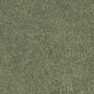 Levels Forest Glossy 6x25 Motto
