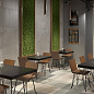 Marble Trend Kerranova