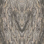 MN319CP271206 Frappuccino Polished 6mm 120x270 Moreroom Stone