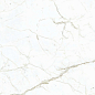 LU628389 Calacatta White Lucido 8mm 60x120 IRIS FMG