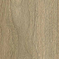 610010004068 Bormio Honey Ret 20x120 ColiseumGres фото в миниатюре