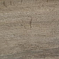 Wild PRI Taupe 15.3x58.9 Halcon