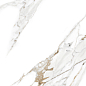 AB1202G Aspire Gold Gloss 600x600 Absolut Gres