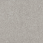 DAPSE634 light grey lapp 30x60 RAKO