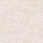 N40040 Basalt Stone Ivory Matt 60x120 Neodom