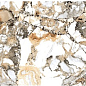 MAKARANI BEIGE Polished 240x80 Staro