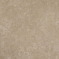 11022 Shell BG 60х120 Creto