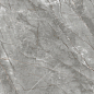 PR153 Vezin Grey Polished 60x60 PrimaVera