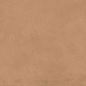 NP_P0075 Delishn clay 60х60 Creto