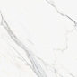 Appolo White Carving 60x120 Staro