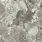 610015000669 Forte dei Marmi Ceppo Apuano Pearl Lapp 80x160 Atlas Concorde Russia