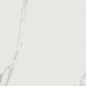 Bianco Statuario JW01 Luc SQ 60x119.7 Mirage