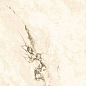 UM6L300382 Paonazzetto S Lucidato Shiny 6 mm 150x300 Ariostea