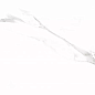 Carrara Rect матовая 60x120 Prime Ceramics
