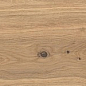 AX5U Log Icon Oak Forest Matte 20x180 Atlas Concorde