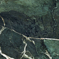 GT1206011917HPR Camlin Зеленый 60x120 Global Tile
