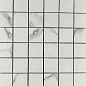 Mosaic Satvario Gold 300x300 Velsaa