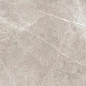 Swindon Mocha Polished 60x120 Usak Seramik