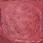 Carlo Granate-B 20x20 VIVES