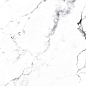 CR4006-A Borghini Silver Carving 60x60 Arcadia Ceramica
