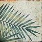 TR3333 Tropic 33х33 Serapool