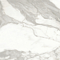 Invictus Natural 80x80 Baldocer