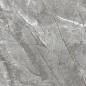 PR153 Vezin Grey Polished 60x60 PrimaVera