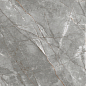 PR153 Vezin Grey Polished 60x60 PrimaVera