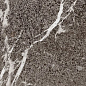 Sail 60x120 Ocean-Ceramic