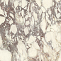PL612671 Calacatta Viola Luc 60x120 Ariostea