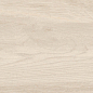 ENWD4026CR20120 Glacier Bianco Matt 120x20x0.9 Ennface