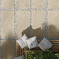 Cosmos Italon фото в миниатюре