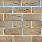 Аспен 15-05 рядовая 250х90х20 Ecostone
