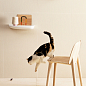 Pico Mutina